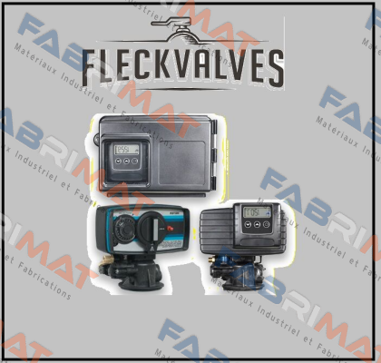 Fleck Valves