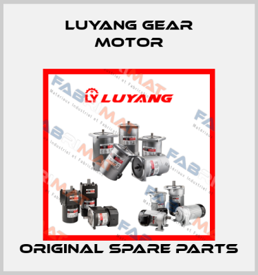 Luyang Gear Motor