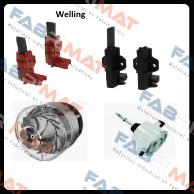 Guangdong Welling Motor