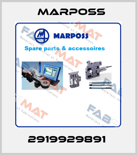 2919929891  Marposs