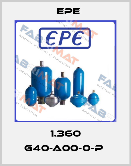 1.360 G40-A00-0-P  Epe