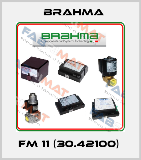 FM 11 (30.42100)  Brahma