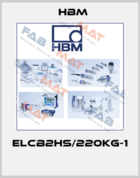 ELCB2HS/220KG-1  Hbm