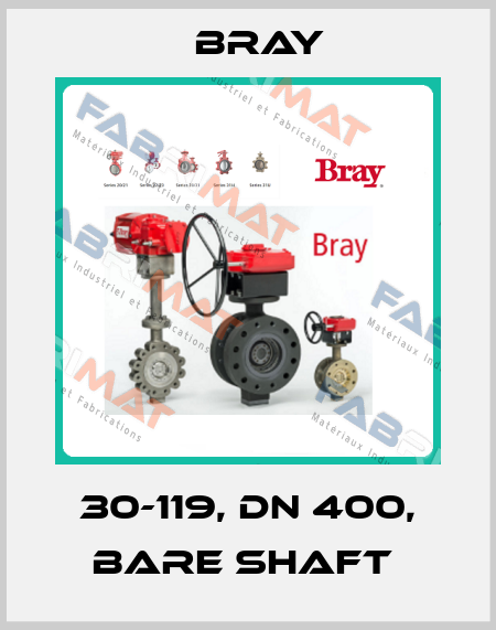 30-119, DN 400, bare shaft  Bray