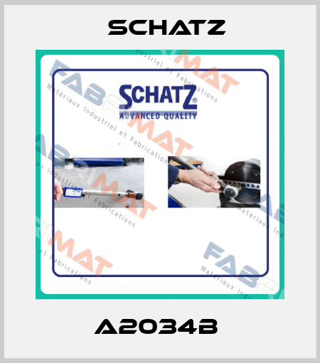 A2034B  Schatz
