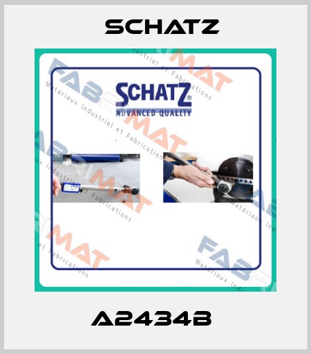A2434B  Schatz