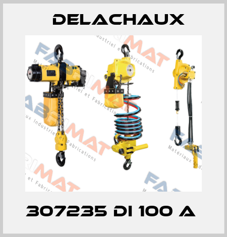 307235 DI 100 A  Delachaux