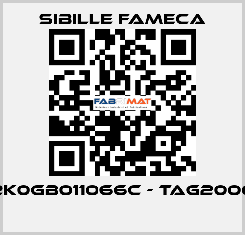 2K0GB011066C - TAG2000  Sibille Fameca