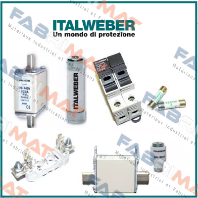 0106315  Italweber