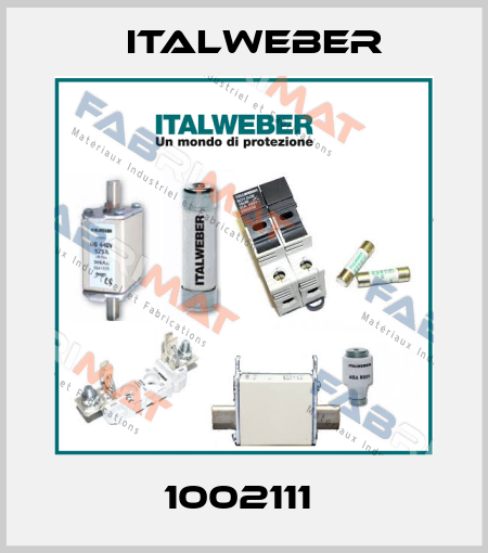 1002111  Italweber