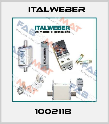 1002118  Italweber
