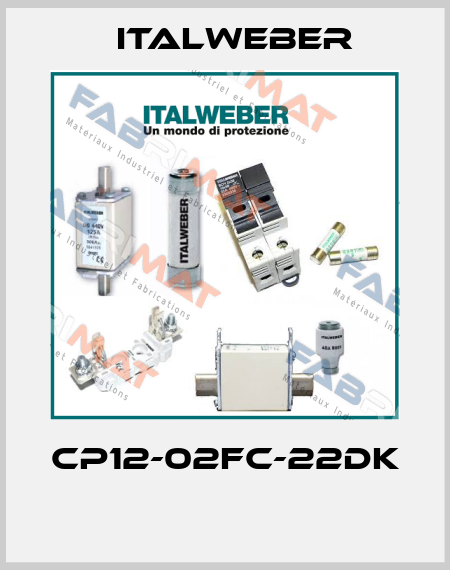 CP12-02FC-22DK  Italweber