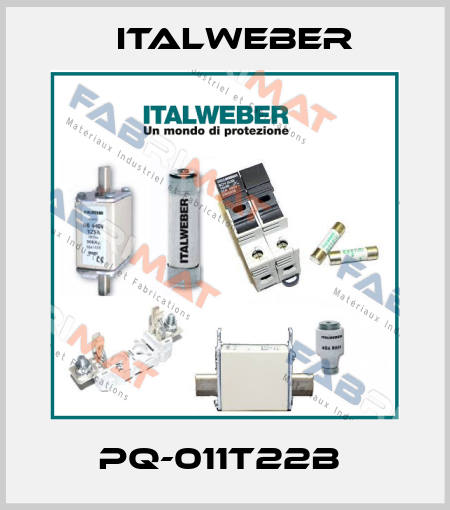 PQ-011T22B  Italweber