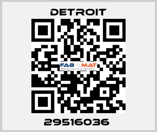 29516036  Detroit