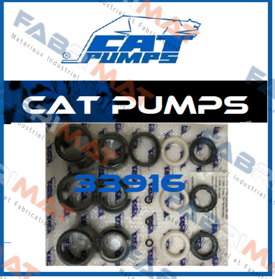 33916 Cat Pumps