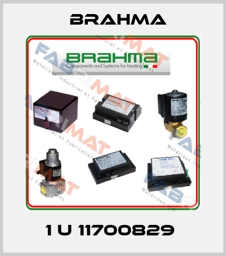1 U 11700829  Brahma
