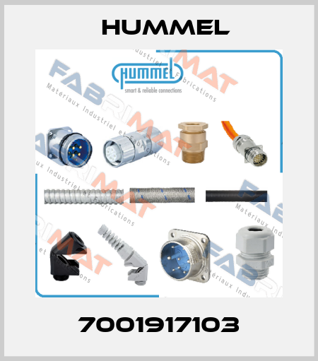 7001917103 Hummel