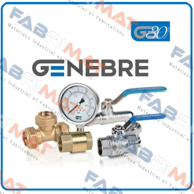 Repair kit for butterfly-valve DN250 PN10   Genebre