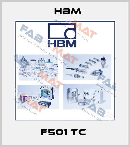 F501 TC  Hbm