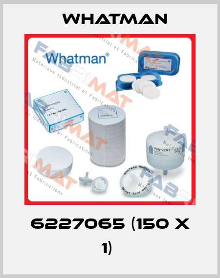 6227065 (150 x 1)  Whatman