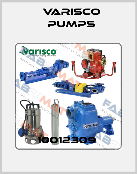 10012309  Varisco pumps