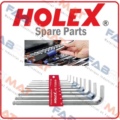 43 4900-17  Holex