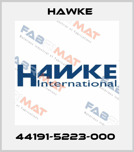 44191-5223-000  Hawke