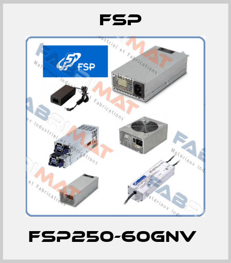 FSP250-60GNV  Fsp