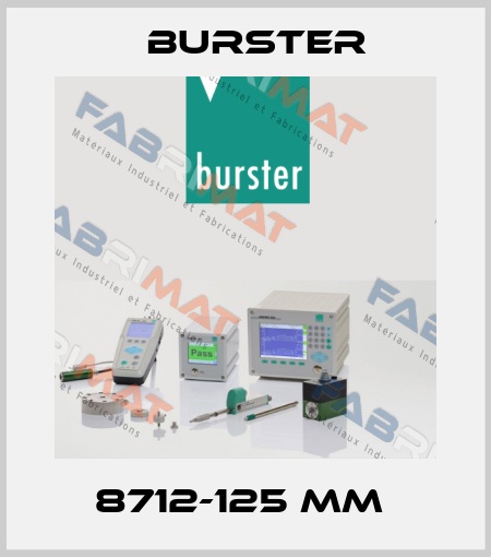 8712-125 mm  Burster