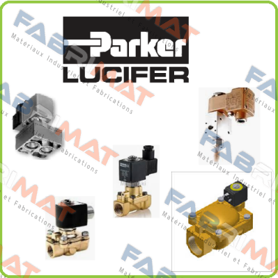 4810003DEZ 013D 110V COIL  Lucifer (Parker)