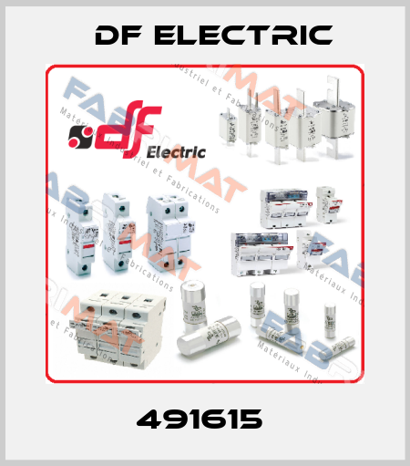 491615  DF Electric