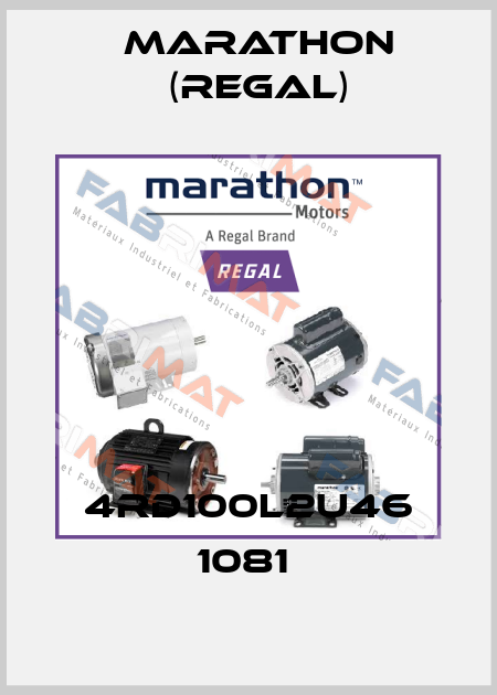 4RD100L2U46 1081  Marathon (Regal)