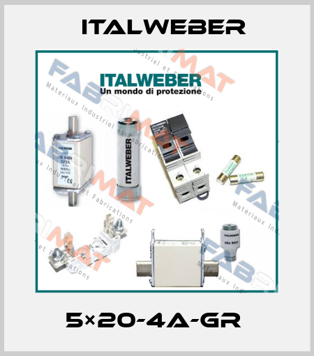 5×20-4A-GR  Italweber