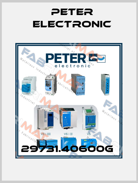 29731.40600G  Peter Electronic