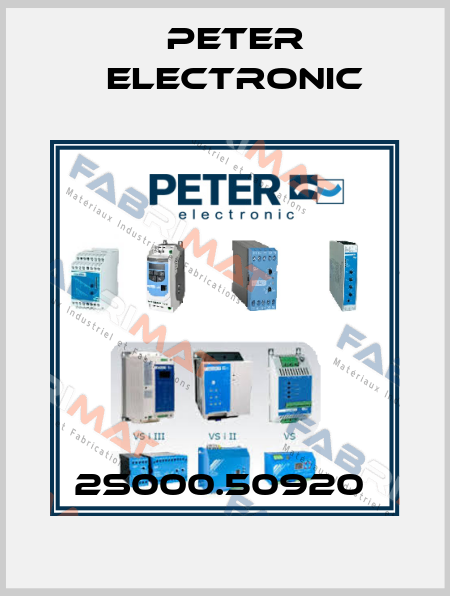 2S000.50920  Peter Electronic