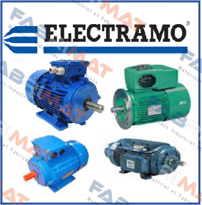 TYPE:MA200 L8, N:221290130  Electramo