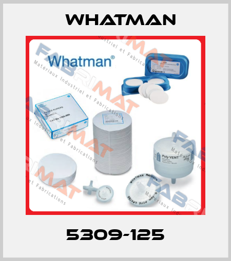 5309-125 Whatman