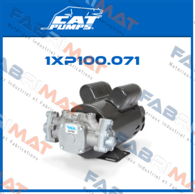 1XP100.071 Cat Pumps