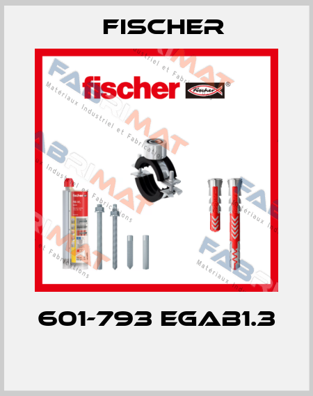601-793 EGAB1.3  Fischer