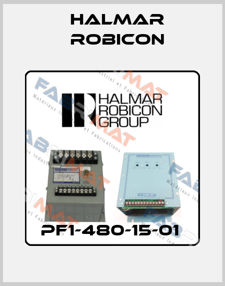 PF1-480-15-01  Halmar Robicon