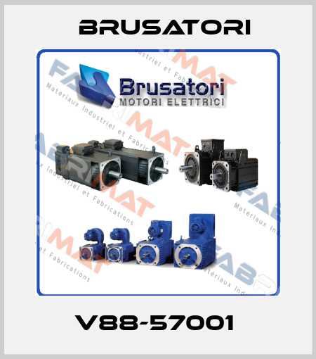 V88-57001  Brusatori