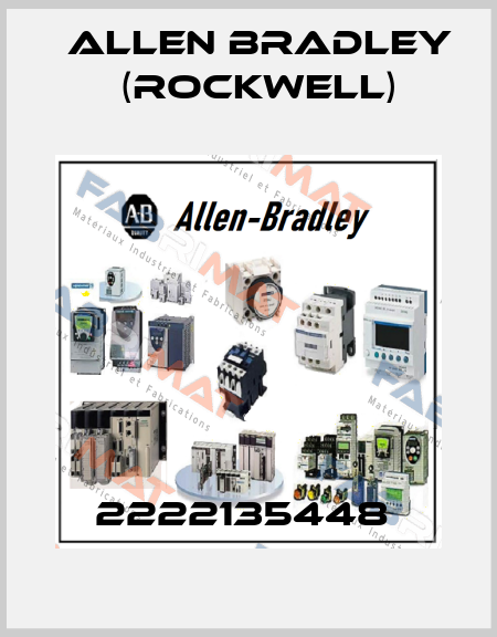 2222135448  Allen Bradley (Rockwell)