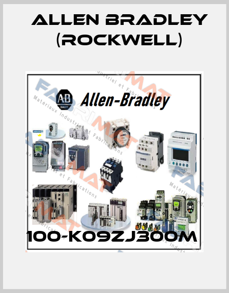 100-K09ZJ300M  Allen Bradley (Rockwell)