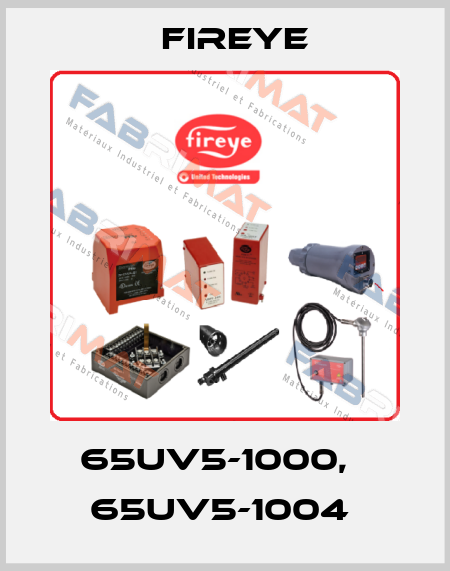 65UV5-1000,   65UV5-1004  Fireye