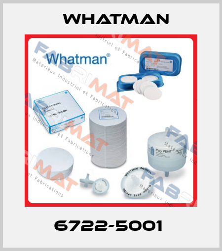 6722-5001  Whatman
