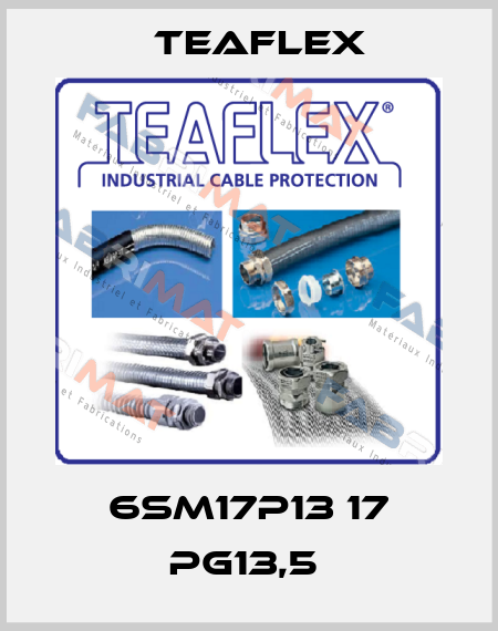 6SM17P13 17 PG13,5  Teaflex