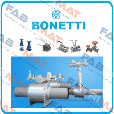 70173  Cesare Bonetti