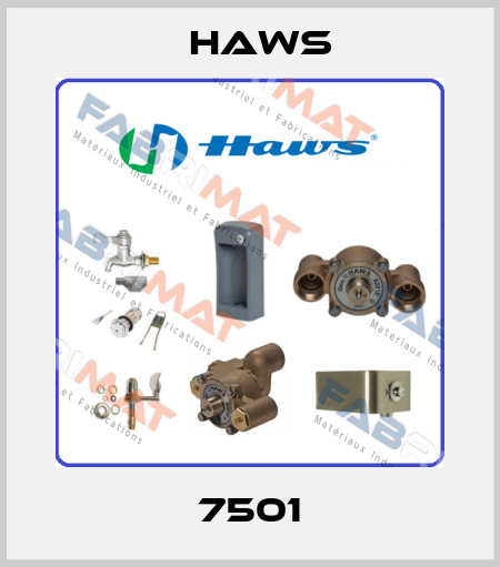 7501 Haws