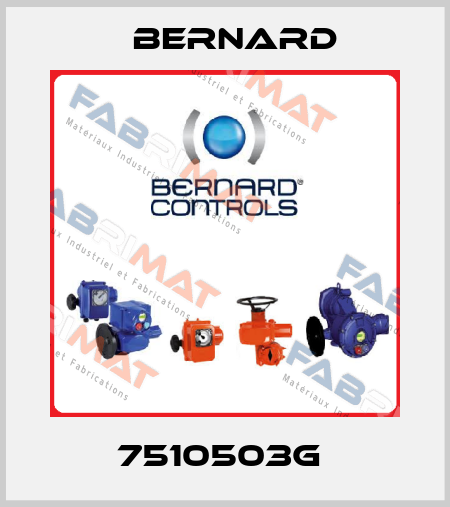 7510503G  Bernard