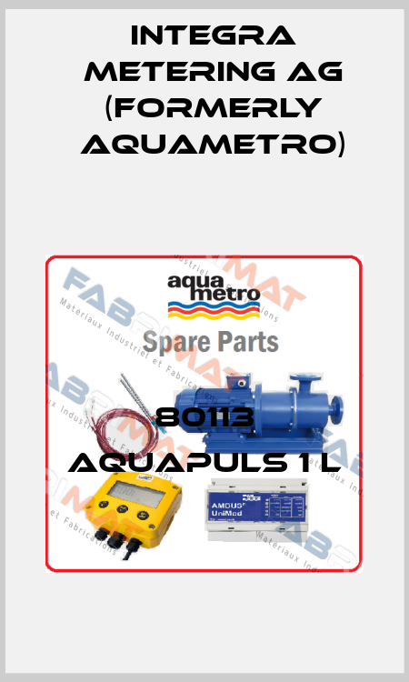 80113 aquapuls 1 l Integra Metering AG (formerly Aquametro)